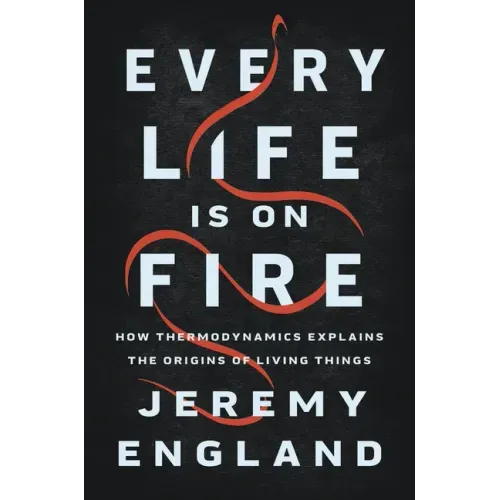 Every Life Is on Fire: How Thermodynamics Explains the Origins of Living Things