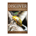 Super Strong and Powerful Insects - Discover: Early reader's wildlife photography book