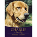 Charlie: A Love Story