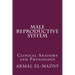 Male Reproductive System: Clinical Anatomy and Physiology