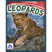 Leopards
