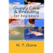 Guppy Care & Breeding for Beginners