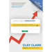 Search Engine Domination: The Proven Plan, Best Practice Processes + Super Moves to Make Millions with Online Marketing
