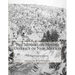 The Mogollon Mining District of New Mexico