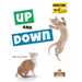 Up and Down
