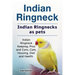 Indian Ringneck. Indian Ringnecks as pets. Indian Ringneck Keeping, Pros and Cons, Care, Housing, Diet and Health.