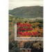 Paths Along the Hudson: A Guide to Walking and Biking