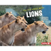 On the Hunt with Lions
