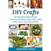 DIY Crafts: Easy Homemade Crafting Ideas: Potpourris, Bath Products, Holiday Crafts, Candles, Jewelry, Flowers, Kid's Crafts, and More!