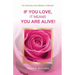 If You Love, It Means You Are Alive!