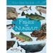 Junior Field Guide: Fishes of Nunavut: English Edition