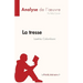 La tresse de Laetitia Colombani (Analyse de l'oeuvre): Résumé complet et analyse détaillée de l'oeuvre