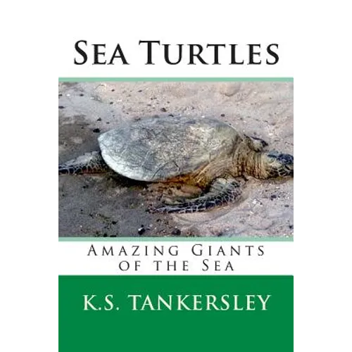 Sea Turtles: Amazing Giants of the Sea