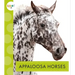 Appaloosa Horses
