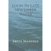 Loon In Late November Water