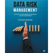 Data Risk Management: Essentials to implement an Enterprise Control Environment