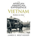 The African American Experience in Vietnam: Brothers in Arms