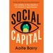 Social Capital: Life Online in the Shadow of Ireland's Tech Boom