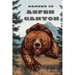 Danger In Aspen Canyon