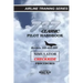737 Classic Pilot Handbook: Simulator and Checkride Procedures