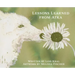Lessons Learned from Atka
