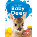 Baby Deer