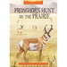 Pronghorn Hunt on the Prairie