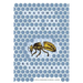 Anatomy of the Honey Bee