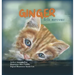 Ginger Felt Nervous