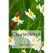 Chamomile