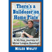 There's a Bulldozer on Home Plate: A 50-Year Journey in Minor League Baseball