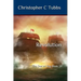 Revolution: The Dorset Boy Book 14