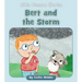 Bert and the Storm