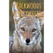 The Backwoods of Everywhere: Words from a Wandering Local
