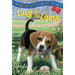 Absolutely Lucy #2: Lucy on the Loose