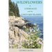 Wildflowers of Chebeague and the Casco Bay Islands