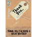 Thank You For Being a Great Brother!: My Gift Of Appreciation: Full Color Gift Book Prompted Questions 6.61 x 9.61 inch