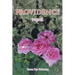 Providence: Sequel