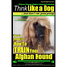 Afghan Hound, Afghan Hound Training Think Like a Dog But Don't Eat Your Poop! Afghan Hound Breed Expert Training: Here's EXACTLY How To TRAIN Your Afg