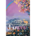 In Search of the Rainbow Power