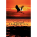 A Faraway Sun