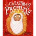 The Christmas Promise Storybook: A True Story from the Bible about God's Forever King