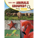 How Are Animals Grouped?
