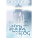 Finding Your Way Through the Fog