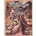 Tattoo Designs Black And Grey Felines
