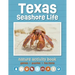 Texas Seashore Life Nature Activity Book