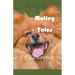 Motley Tales