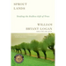 Sprout Lands: Tending the Endless Gift of Trees