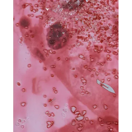 Damien Hirst: Beyond Belief