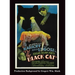 The Black Cat (hardback)